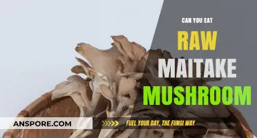 Can You Eat Raw Maitake Mushrooms? Benefits, Risks, and Tips