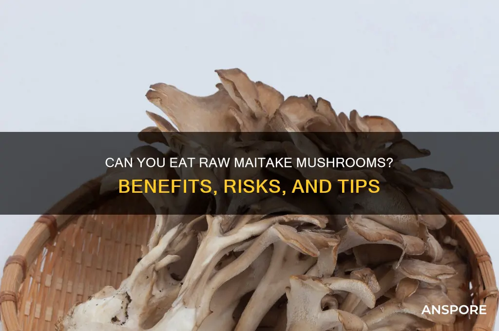 can you eat raw maitake mushrooms