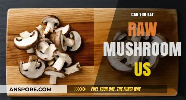 Can You Eat Raw Mushrooms in the US? Safety and Tips