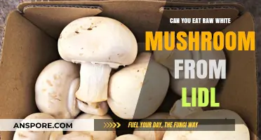 Are Raw White Mushrooms from Lidl Safe to Eat?