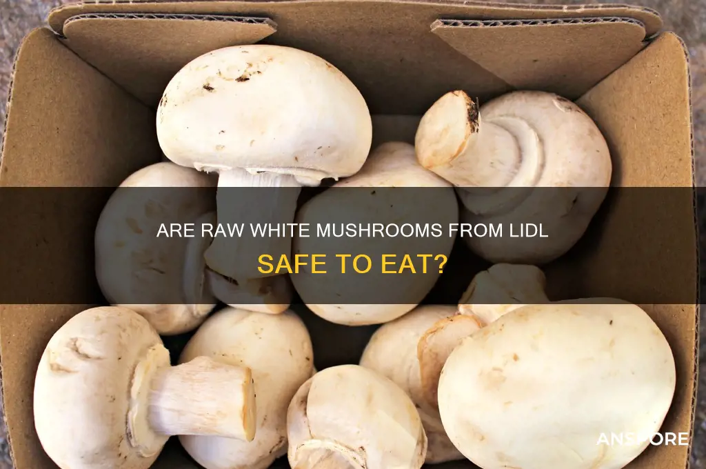 can you eat raw white mushrooms from lidl