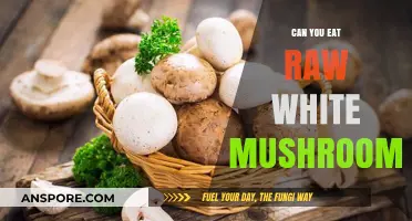 Can You Eat Raw White Mushrooms? Safety and Benefits Explained