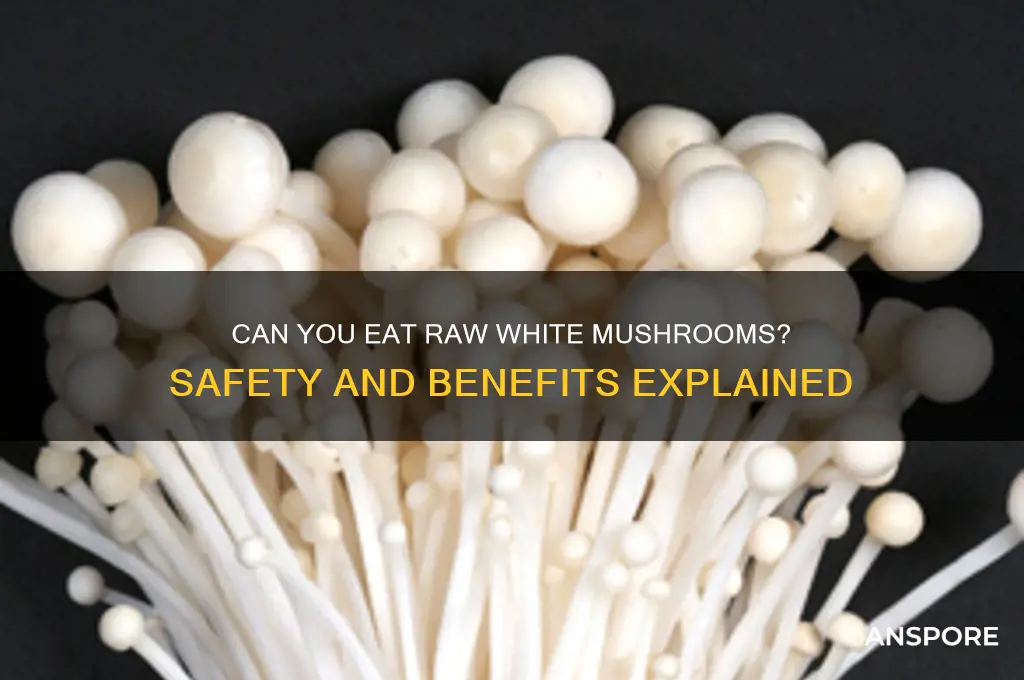 can you eat raw white mushrooms