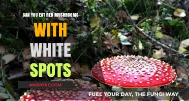 Are Red Mushrooms with White Spots Safe to Eat?