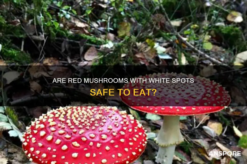 can you eat red mushrooms with white spots