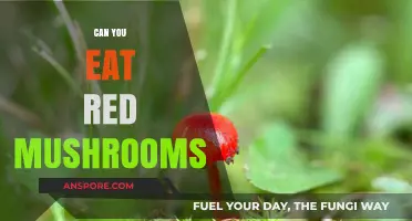 Can You Eat Red Mushrooms? A Guide to Safe Foraging
