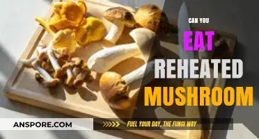 Reheating Mushrooms: Safe Practices and Delicious Results Explained