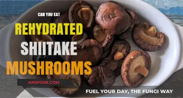 Rehydrated Shiitake Mushrooms: Safe, Nutritious, and Delicious Eating Tips