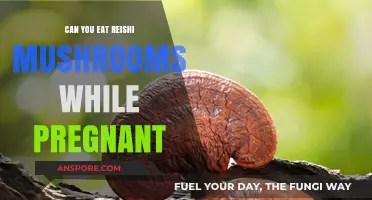 Pregnancy and Reishi Mushrooms: Safe or Risky for Expecting Moms?