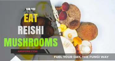 Can You Eat Reishi Mushrooms? Benefits, Risks, and Preparation Tips