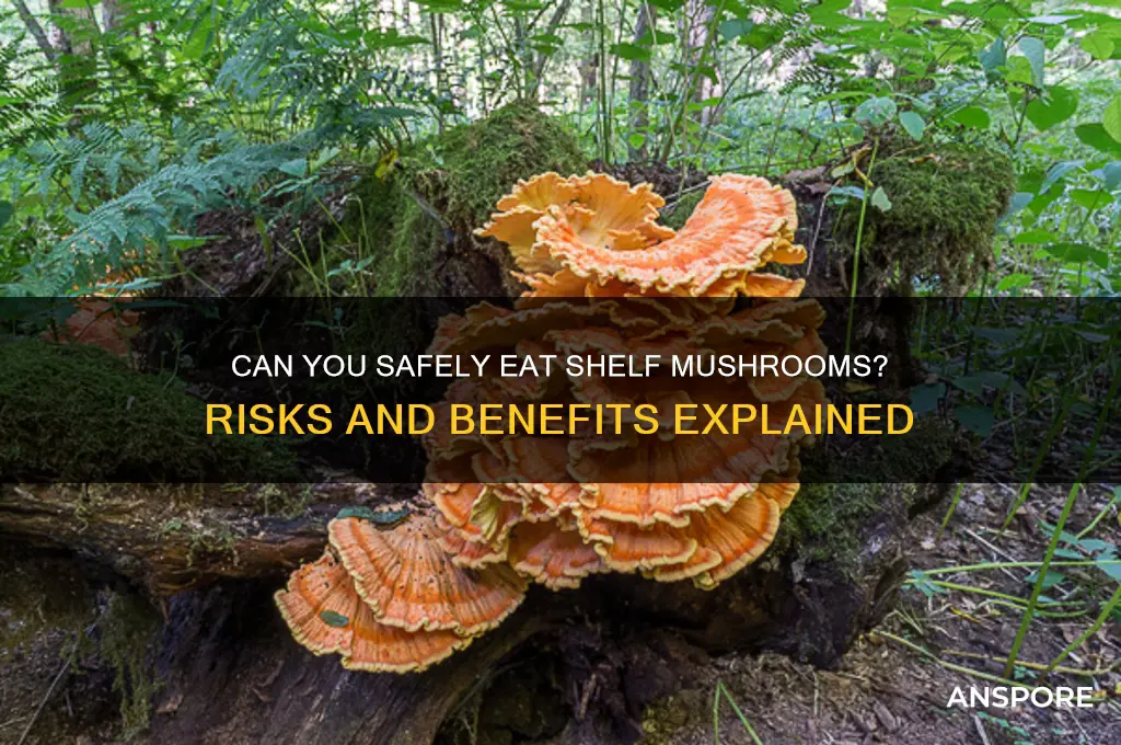 can you eat shelf mushrooms