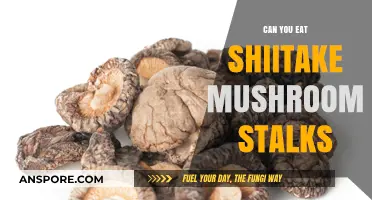 Can You Eat Shiitake Mushroom Stalks? A Tasty Guide
