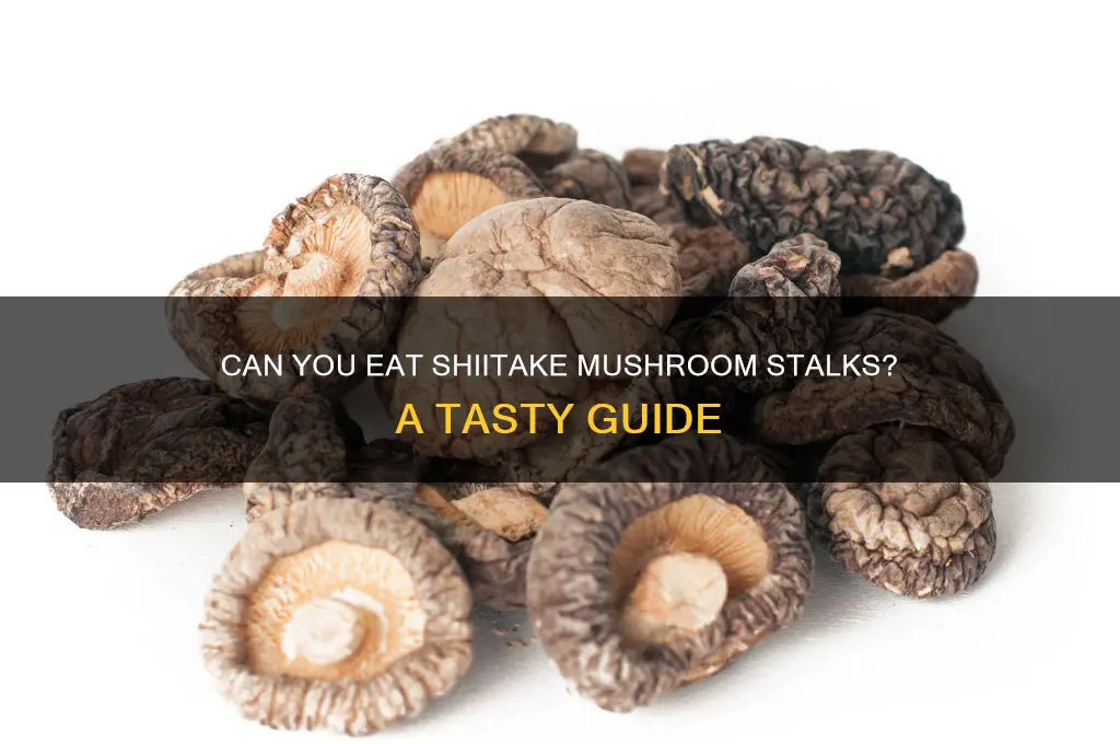 can you eat shiitake mushroom stalks