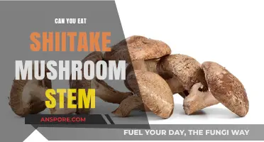 Can You Eat Shiitake Mushroom Stems? A Tasty Guide