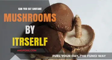 Can You Eat Shiitake Mushrooms Alone? A Tasty Exploration