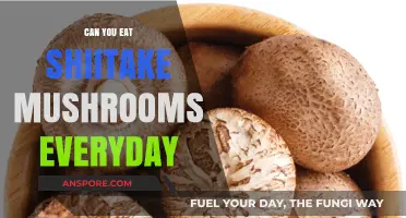 Daily Shiitake Consumption: Health Benefits and Potential Risks Explained