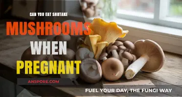 Shiitake Mushrooms During Pregnancy: Safe or Risky? Expert Insights