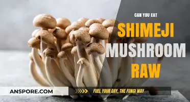 Can You Eat Shimeji Mushrooms Raw? Safety and Tips