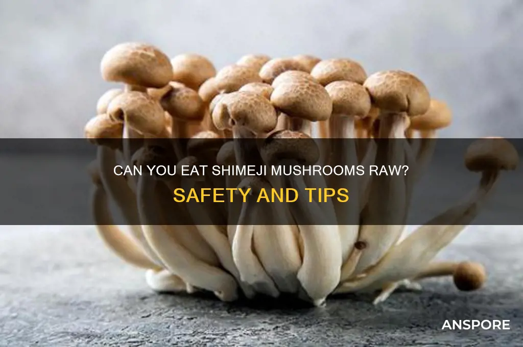 can you eat shimeji mushrooms raw