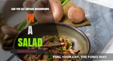 Shitake Mushrooms in Salads: A Tasty and Nutritious Addition?