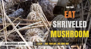 Shriveled Mushrooms: Safe to Eat or Toss? Expert Advice