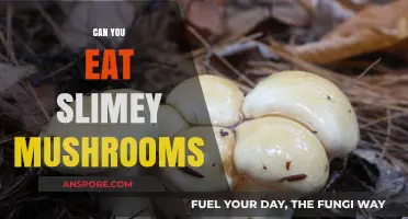 Are Slimy Mushrooms Safe to Eat? Risks and Identification Tips