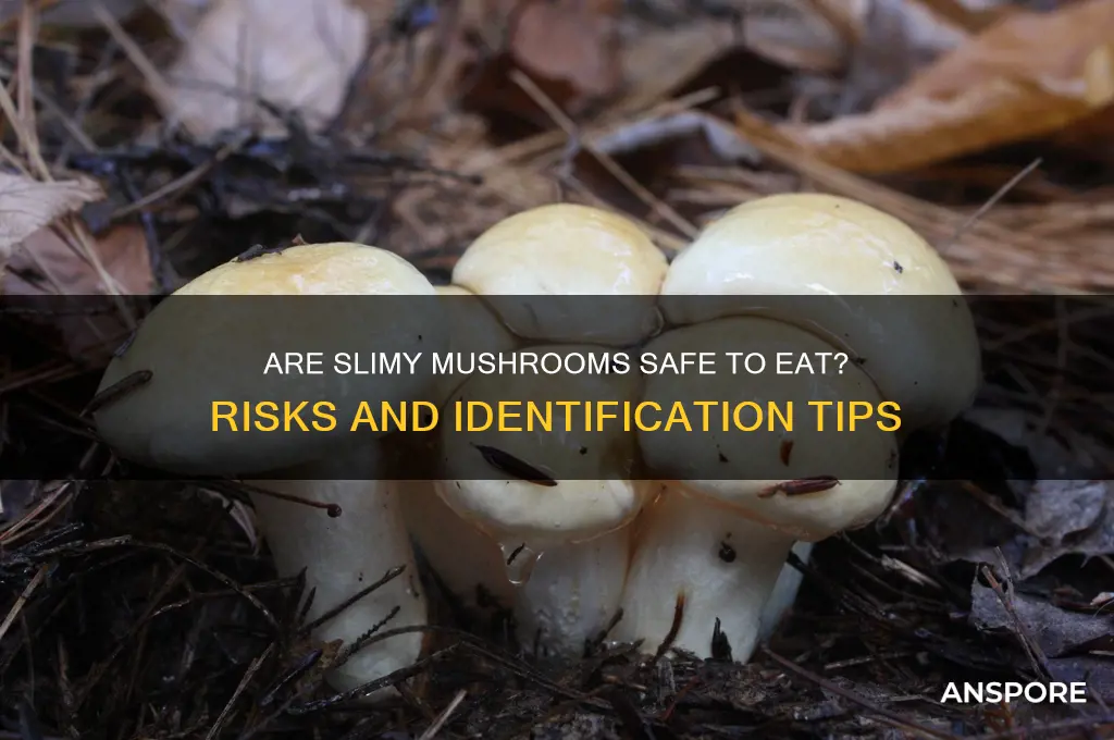 can you eat slimey mushrooms