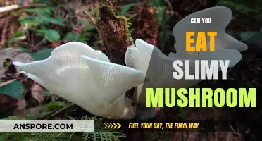 Slimy Mushrooms: Safe to Eat or Toxic Threat?
