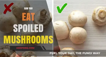 Spoiled Mushrooms: Risks, Signs, and Safe Consumption Tips