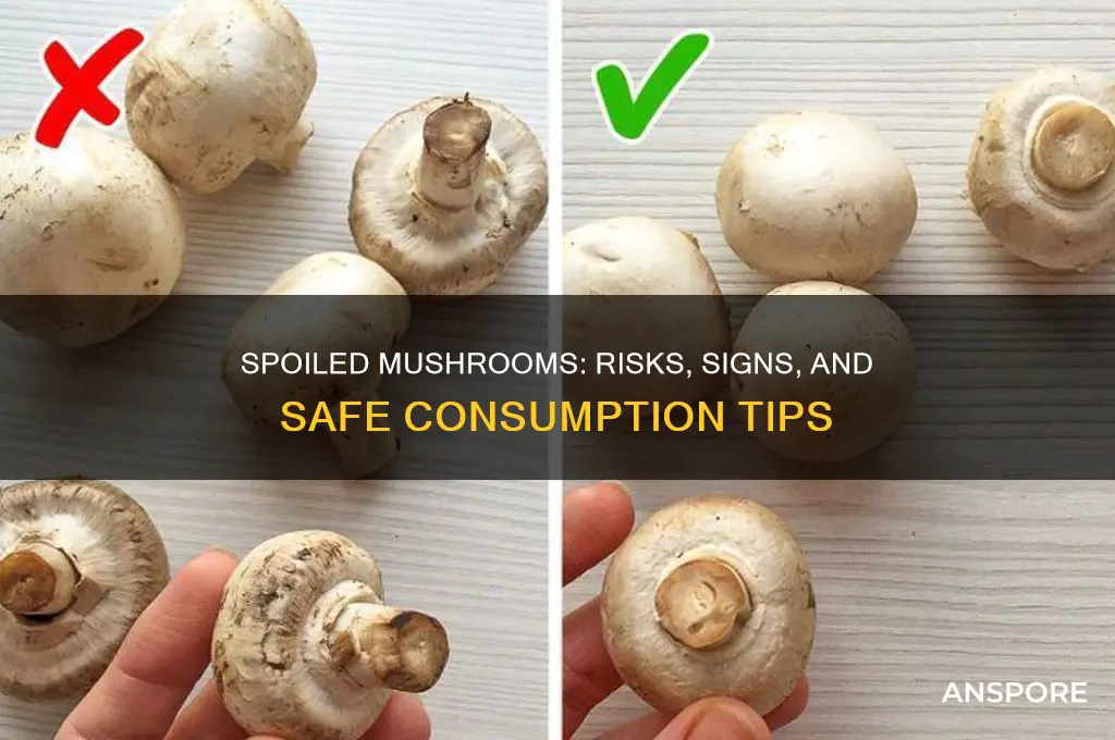 can you eat spoiled mushrooms