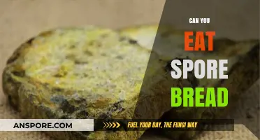 Is Spore Bread Safe to Eat? A Comprehensive Guide