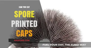 Are Spore-Printed Mushroom Caps Safe to Eat? A Guide