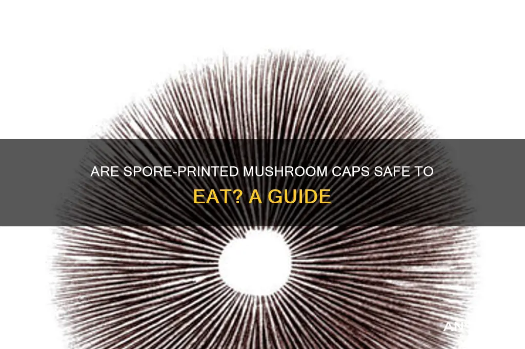 can you eat spore printed caps