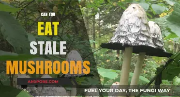 Are Stale Mushrooms Safe to Eat? Risks and Tips Explained