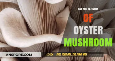 Can You Eat Oyster Mushroom Stems? A Tasty Guide