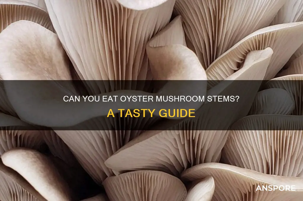 can you eat stem of oyster mushroom