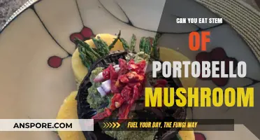 Can You Eat Portobello Mushroom Stems? A Tasty Guide