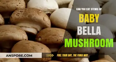 Can You Eat Baby Bella Mushroom Stems? A Tasty Guide