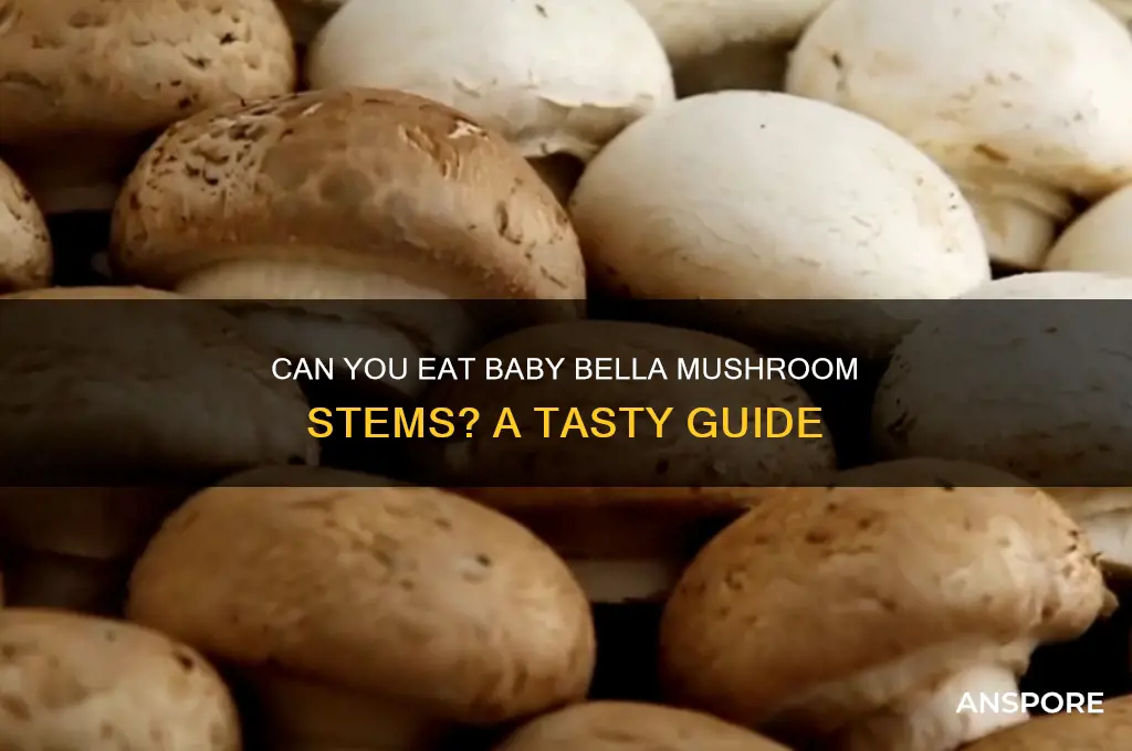 can you eat stems of baby bella mushrooms