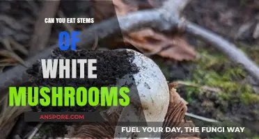 Can You Eat White Mushroom Stems? A Tasty Truth Revealed