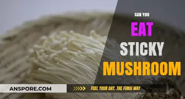 Can You Eat Sticky Mushrooms? A Guide to Edibility and Safety