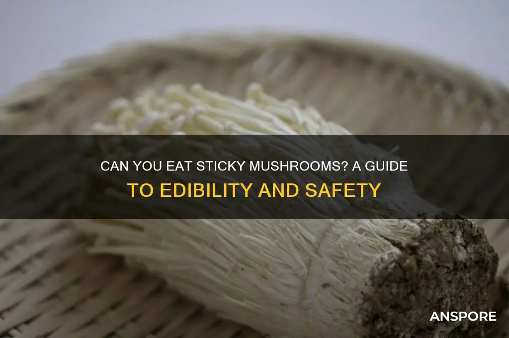 can you eat sticky mushrooms
