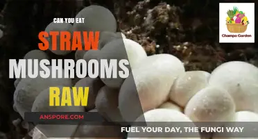 Can You Eat Straw Mushrooms Raw? Safety and Tips