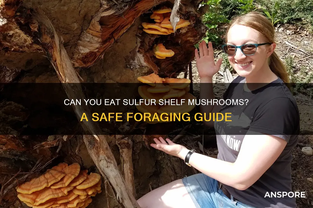 can you eat sulfur shelf mushrooms