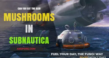 Can You Eat Acid Mushrooms in Subnautica? Risks and Tips