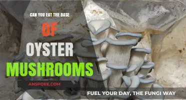 Can You Eat Oyster Mushroom Bases? A Safe Consumption Guide