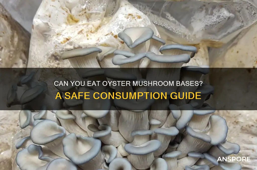 can you eat the base of oyster mushrooms