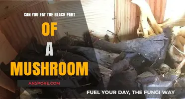 Can You Eat the Black Part of a Mushroom? Facts Revealed