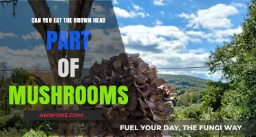 Can You Eat Mushroom Brown Head? A Safe Consumption Guide