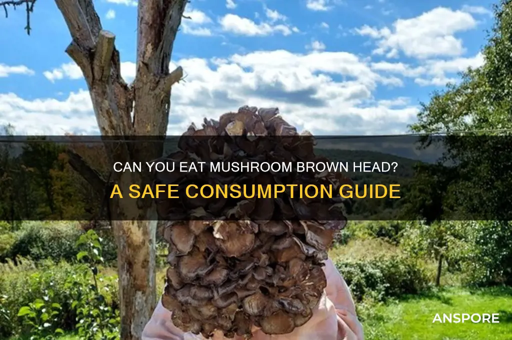 can you eat the brown head part of mushrooms